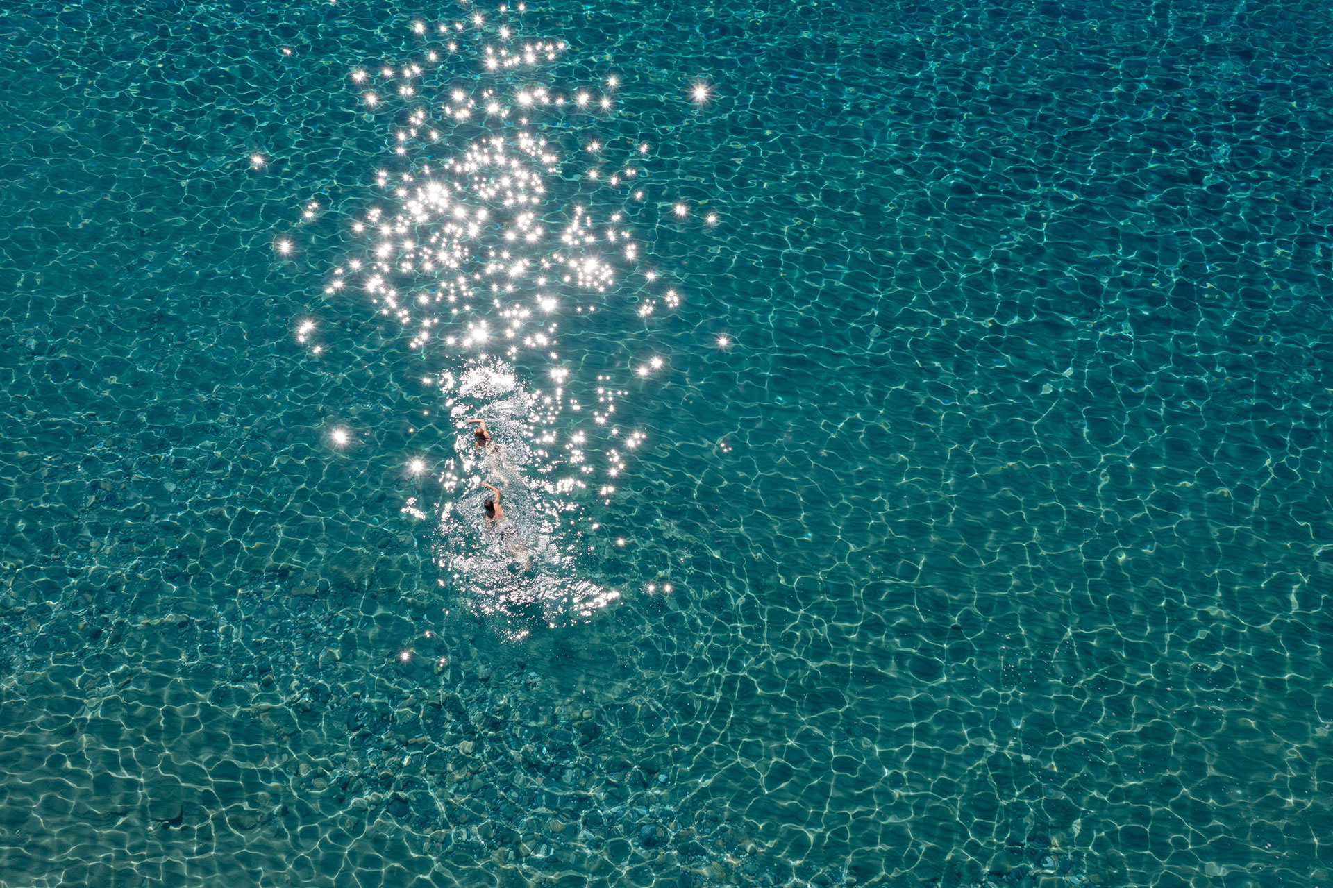 Black Friday-Angebot freischalten