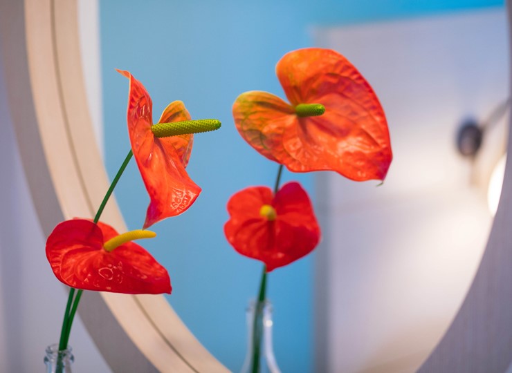 <strong>MODERN AMENITIES IN ALIANTHOS<br>GARDEN ROOMS & APARTMENTS</strong>
