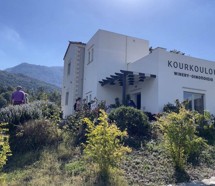 Ein Geschmack von Kreta: Ein Besuch auf dem familienbetriebenen kretischen Weingut Kourkoulou