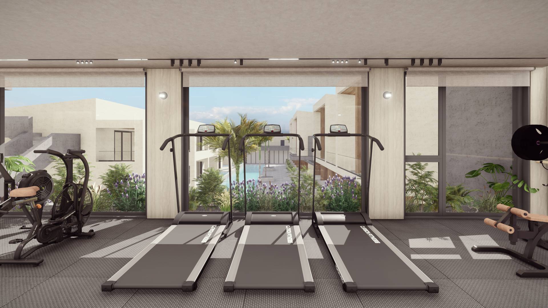 Επισκόπηση