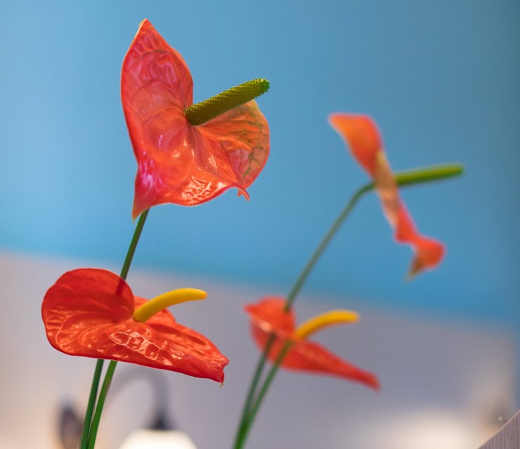 Studio mit Gartenblick