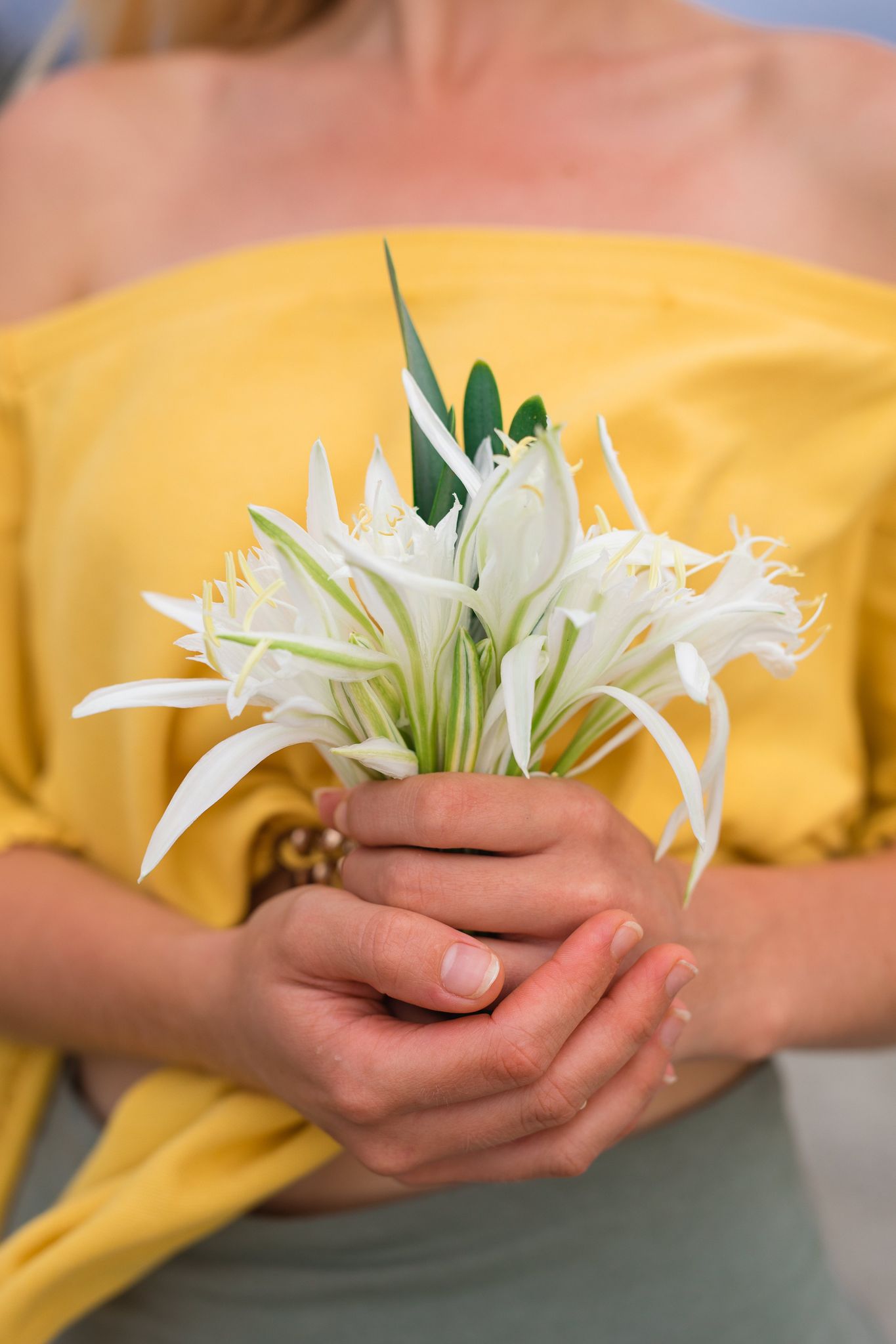 PROBIEREN SIE DIE MODERNE & SAUBERE AUSSTATTUNG DES ALIANTHOS ESTATE RESORTS